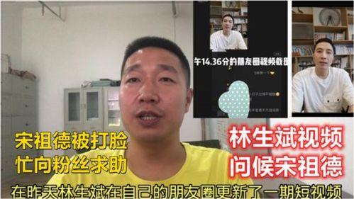 宋大嘴最新爆料视频播放,热点事件背后的惊人真相