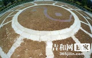 长春八卦阵最新爆料