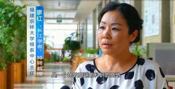 福建爆料最新新闻报道视频,视频揭露惊人事件，详情即将揭晓